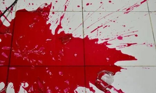 شوهرم زنهای متعدد را به خانه مجردی اش می برد؛ برای انتقام گیری از قصاب محل خواستم دخلش را بیاورد!