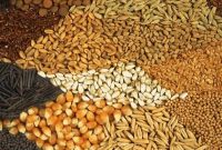 صادرات ۴۰ تن خوراک آبزیان از قوچان به روسیه و گرجستان