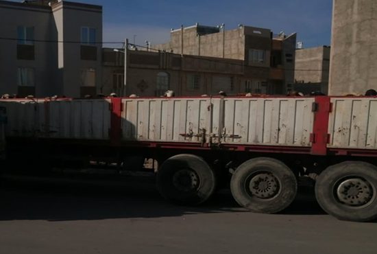 لزوم واکسینه نمودن دام عشایر شهرستان با توجه به آغاز فصل کوچ به استان گلستان