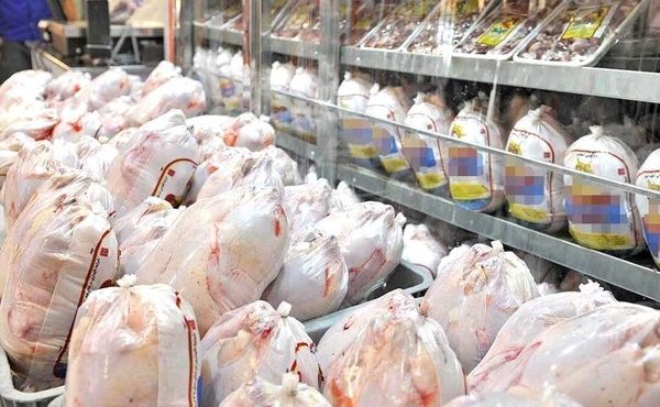 کشف گوشت مرغ تاریخ‌گذشته از دو واحد پروتئینی در قوچان